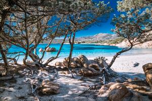 Murta Maria Porto Istana appartamento con giardino