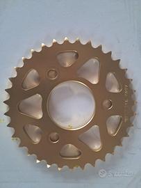 corone PBR X CATENA PASSO 420