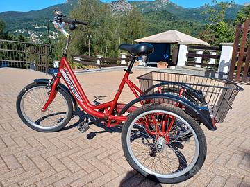 bicicletta a tre ruote
