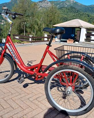 bicicletta a tre ruote