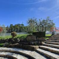 Villa a schiera Montelupo Fiorentino [1/0320VRG]