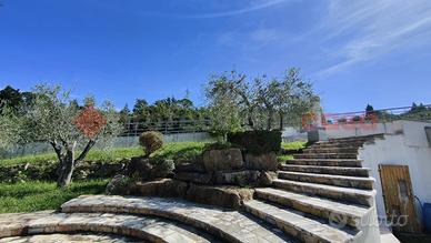 Villa a schiera Montelupo Fiorentino [1/0320VRG]