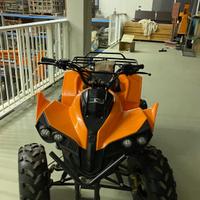 Quad NCX 125