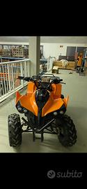 Quad NCX 125