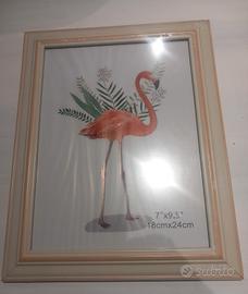 cornici varie misure e colori 