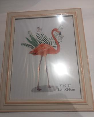 cornici varie misure e colori 