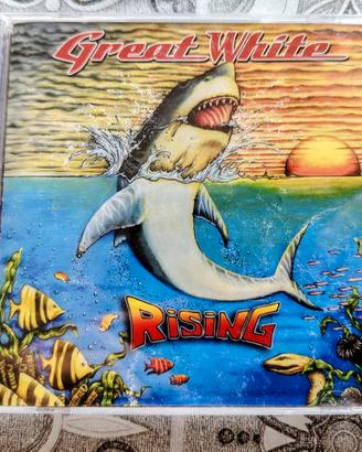 Great White CD Rising 