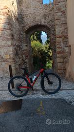 bicicletta 