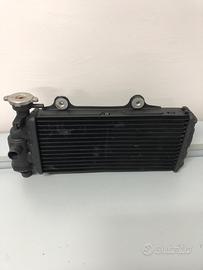 BMW SCARVER RADIATORE