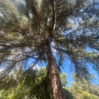 Appartamento a Ragalna