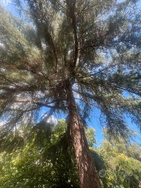 Appartamento a Ragalna