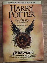 Libro Harry Potter 