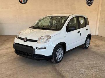 FIAT Panda III 2021 - Panda 1.0 firefly hybrid s&s