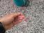 Immagine 4