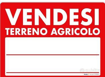 Terreno agricolo