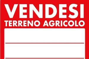 Terreno agricolo