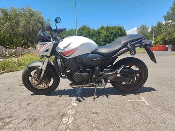 Honda Hornet 600 in perfetto stato