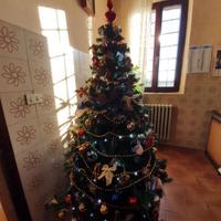 Albero di Natale