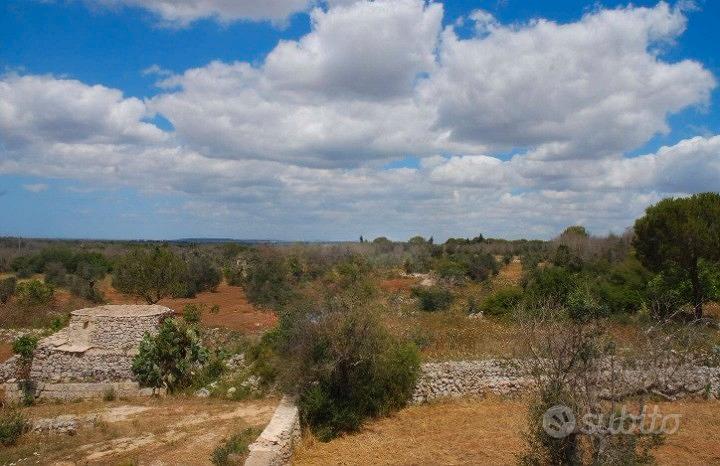 Terreno Agricolo 2.500 mq con pajara a Specchia (L - Altro
