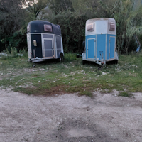 Van trailer trasporto cavalli