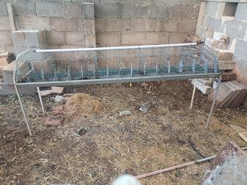 gabbia per conigli