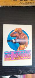 FIGURINA CENTER TV 1991 SUPER STARS OF WRESTLING
