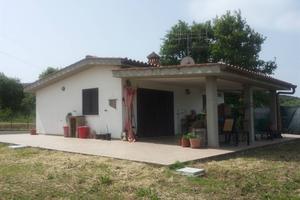 Rif.AA-T13| terreno agricolo scarlino