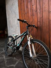 Rampichino bambino 24