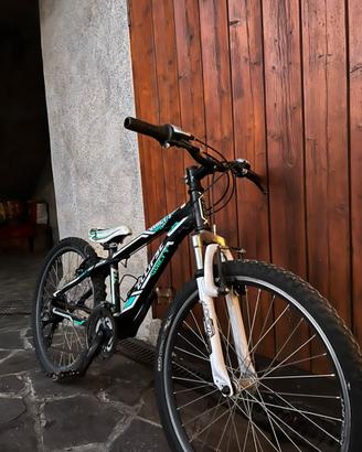 Rampichino bambino 24