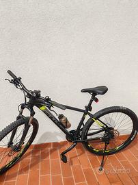 MTB Bulls 