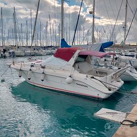 sea ray 300 sundacer