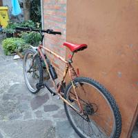 bicicletta mountain bike 