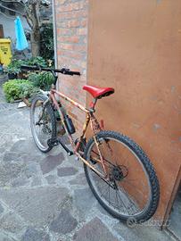 bicicletta mountain bike 