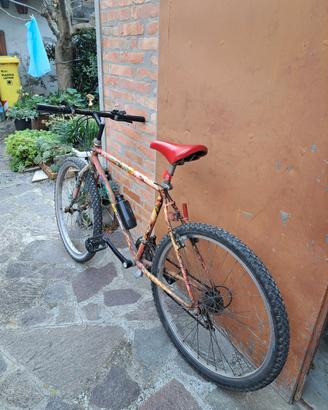 bicicletta mountain bike 