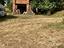 Immagine 13