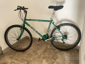 Bicicletta mountain bike