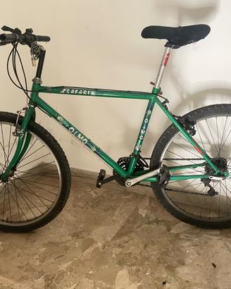 Bicicletta mountain bike