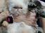 Immagine 1