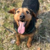 TARO, baffone dalla bontà sconfinata