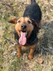 TARO, baffone dalla bontà sconfinata