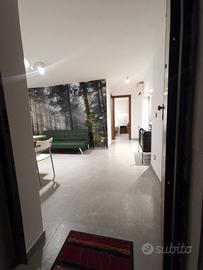 Bivani 50 mq piazza santa Maria di Gesù