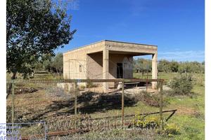 Terreno Agricolo Conversano [A4322887]