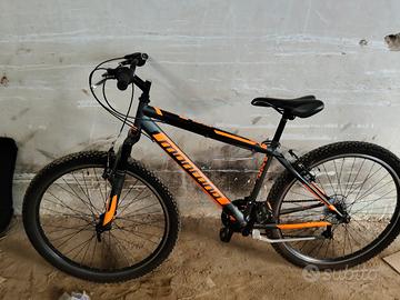 bici da strada 