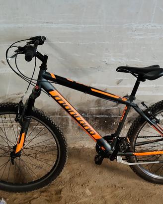 bici da strada 