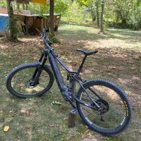 Ebike