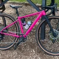 CANNONDALE  Topstone 2 (2025)