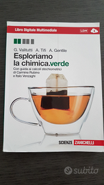 Libro" Esploriamo la chimica. Verde