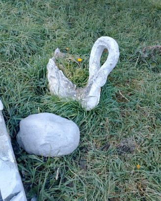  cigno e acquila