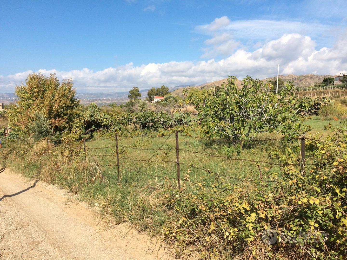 Terreno in zona Pellaro (RC) - Vista 5