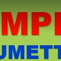 Ricerco fumetti e album figurine